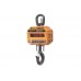 1,000 Kg Cân treo CastonIII 1THD