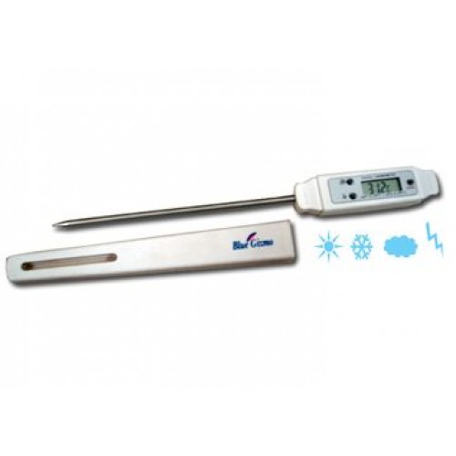 200 độ C Que đo nhiệt độ điện tử BG366