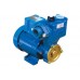 200W Bơm đẩy cao GP-200JXK