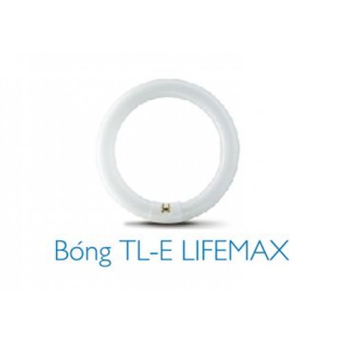 22W Bóng huỳnh quang vòng TLE-Ánh sáng trắng