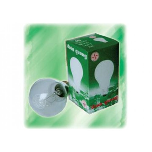 25W 240V Bóng đèn nung sáng bóng trong