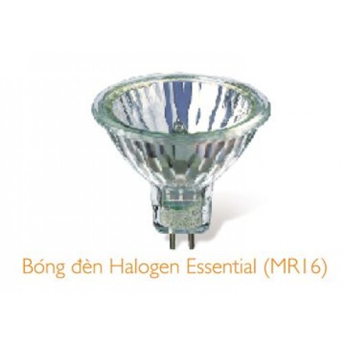 35W Bóng Halogen Essential Philips GU5.3 36D-Có kính chụp
