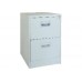 Tủ sắt đựng file CAT 2F
